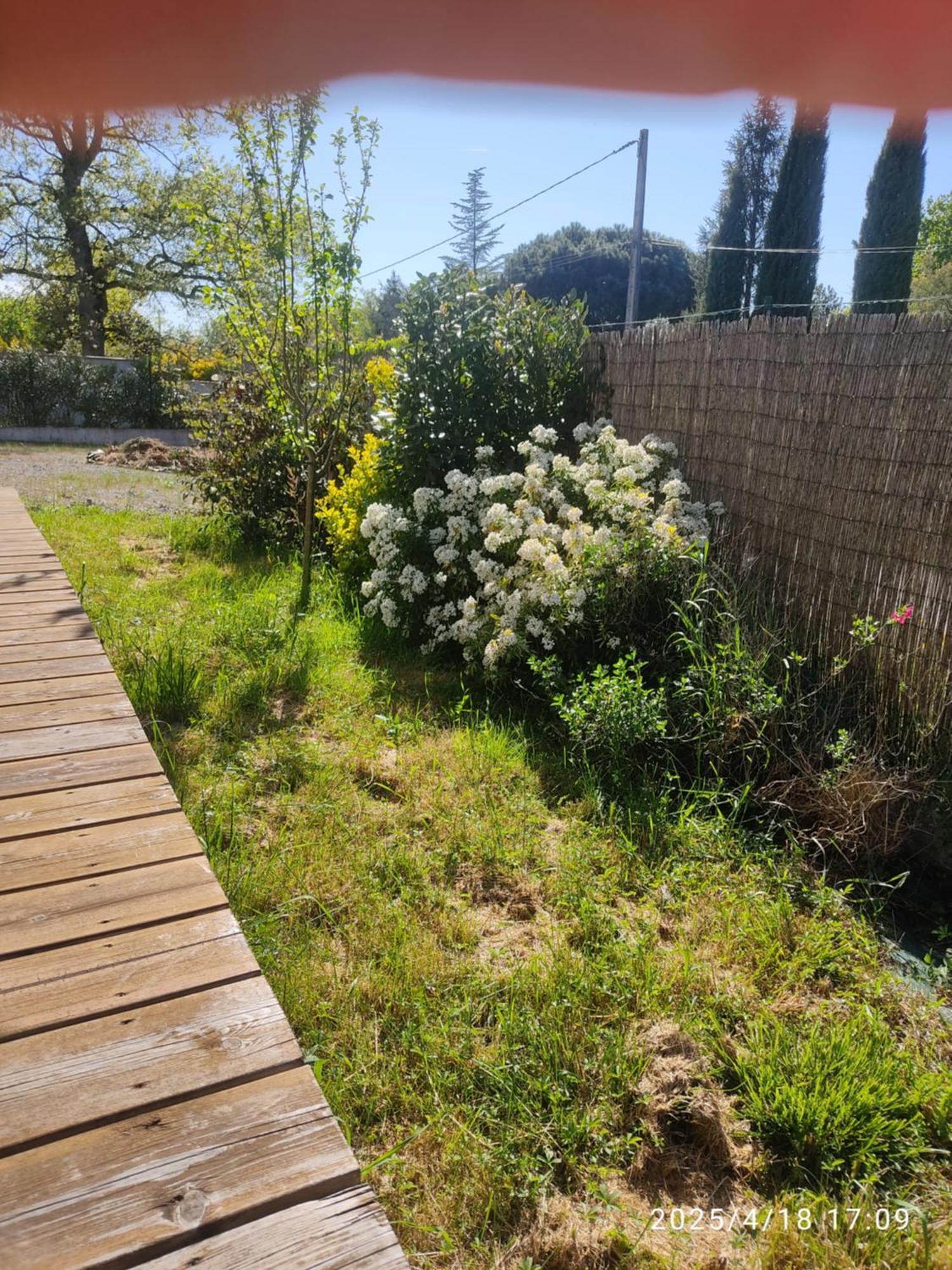 20m2 Avec Salle De Bain Privee Dans Maison En Bois Lavaur (Tarn)